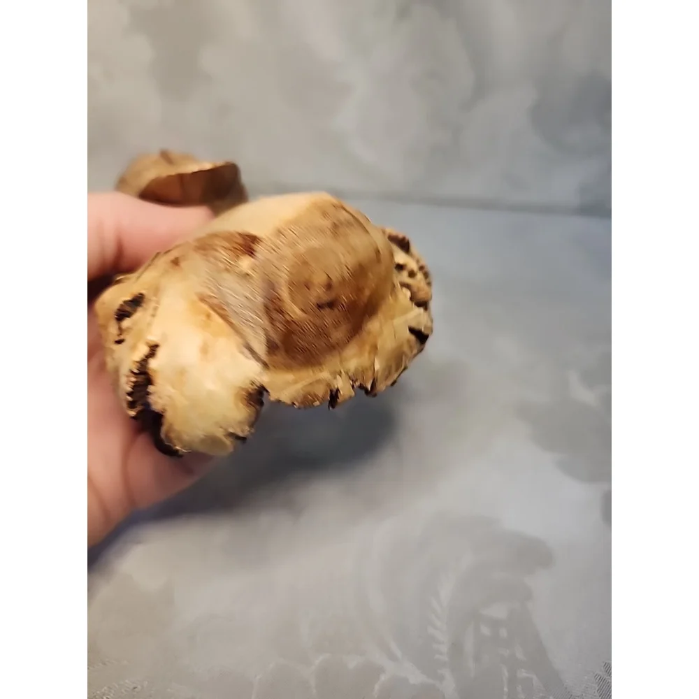 Handcrafted Owl Figurine Carved On Parasite Burl Wood,Excellent Cond.